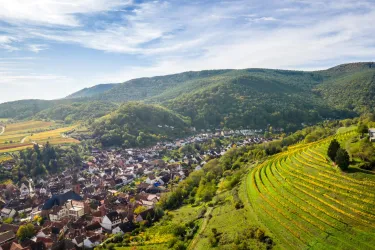 St. Martiner Wingertsberg (© Dominik Ketz_Pfalz Touristik)