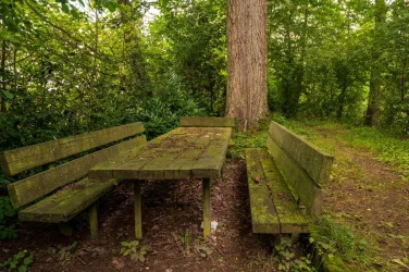Picjnickplatz am Otterbach bei Niederotterbach (© Tourismusverein Bad Bergzaberner Land e.V.)