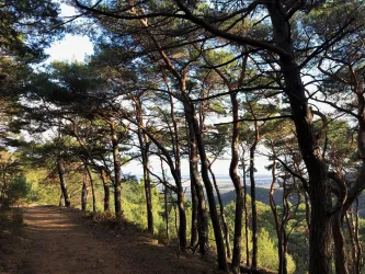 panoramaweg