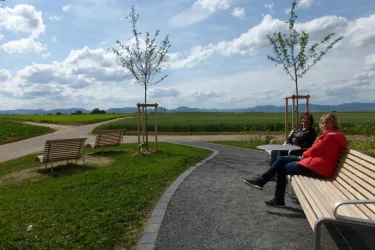 Panoramaplätzl an der Landauer Kapelle (© Verein Südliche Weinstrasse Herxheim e.V.)