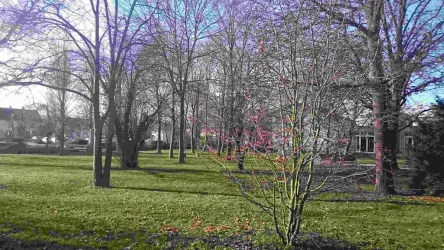 Park Villa Wieser (© Verein Südliche Weinstrasse Herxheim e.V.)