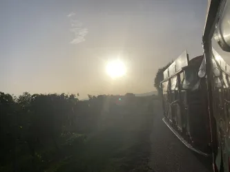 Bähnel im Sonnenuntergang