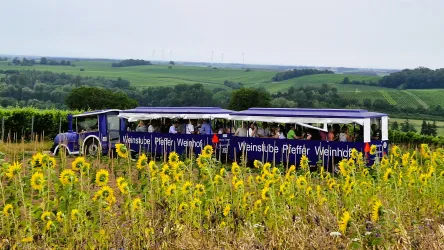 Pfefferexpress mit Sonnenblumen Pfefferexpress mit Sonnenblumen