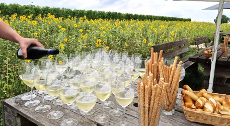 Rollende Weinprobe Weinausschank Pfeffer Rollende Weinprobe Weinausschank Pfeffer