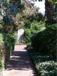 Jüdischer Friedhof 1 (© Verein Südliche Weinstrasse Herxheim e.V.)