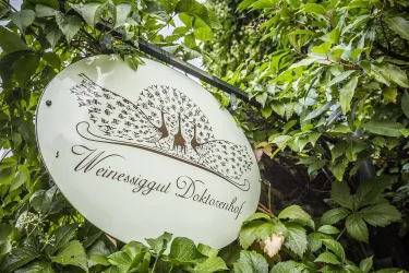 Weinessiggut (© Verein SÜW Edenkoben, T.Kujat)