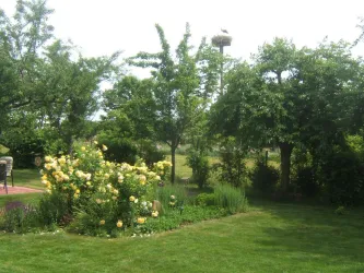 Blick aus den Ferienwohnungen ins Storchennest