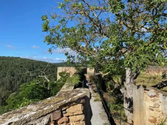 Burg Battenberg mit Blick in den Pfälzerwald