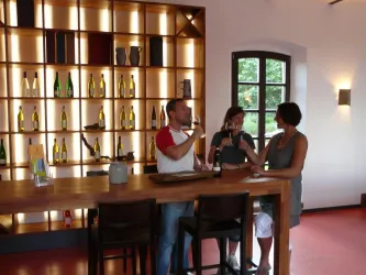 Weingut Hofgut Schraut 2