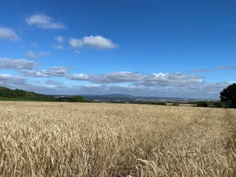 Battenberger Höhe