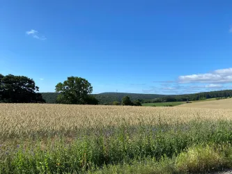 Battenberger Höhe