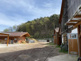 Kleinsägmühlerhof Altleiningen Ställe