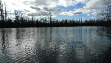 Baggersee