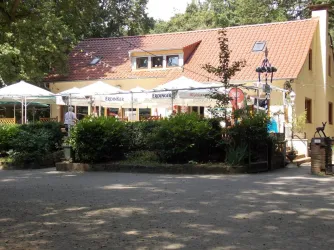 Tyros im Vogelpark