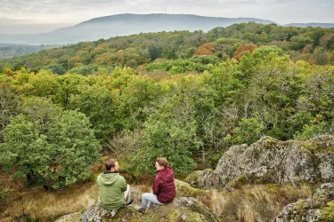 Blick zum Donnersberg vom Drosselfels