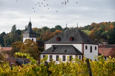 Kirchheimbolanden