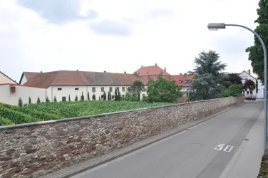 Außenansicht mit Weinberg