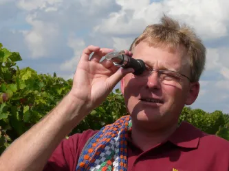 Weingut Wüst