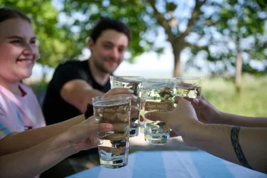 Weinschorle Weinschorle