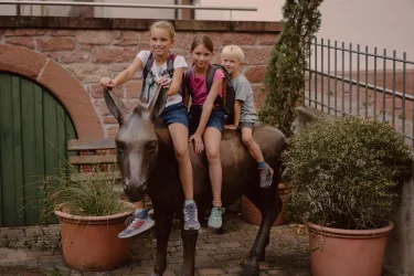Reitspaß auf dem Esel