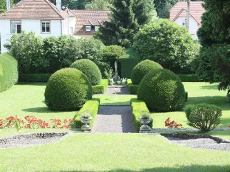 Garten2