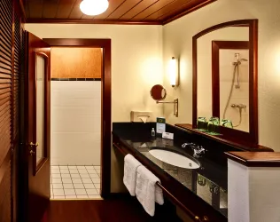Badbereich im Zimmer (mit Dusche/WC)