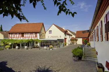Weingut Geheimer Rat Dr. v. Bassermann-Jordan_1