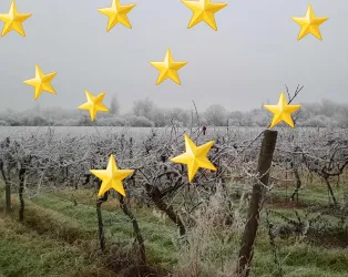 Wir warten auf's Christkind 2