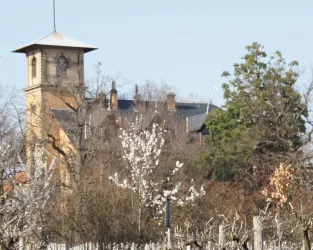 historische Weinprobe 2