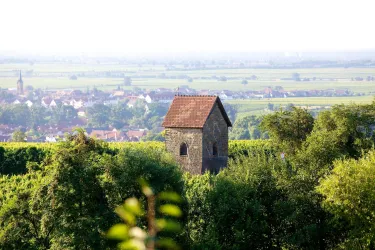 Deutsche Weinstraße 2