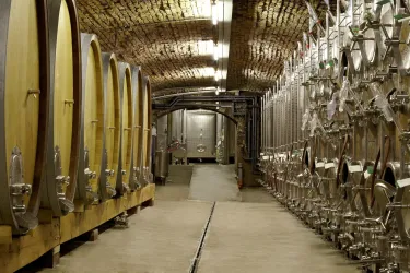 Weingut Reichsrat von Buhl 2