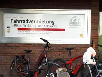 Fahrradverleih Deidesheim 2