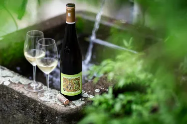 Weingut v. Winning - Grainhübel