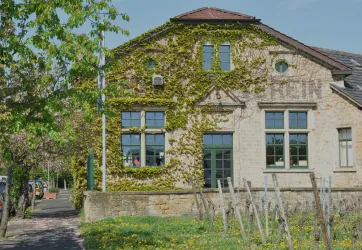 Winzerverein Deidesheim eG 1