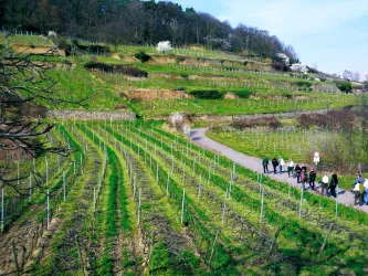 Weingut von Bassermann-Jordan 2