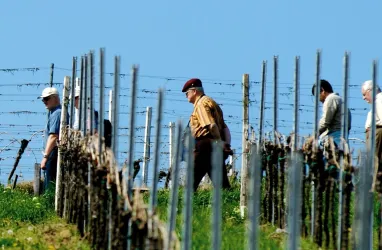 sachkundige Weinbergsführung 2