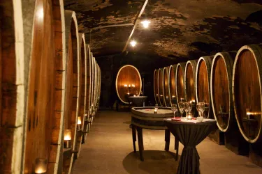 Weingut von Bassermann-Jordan 2