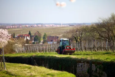 Sekt & Weinhaus Krack 2