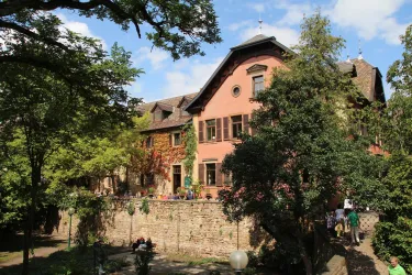 Weinstube Schloss Deidesheim 1