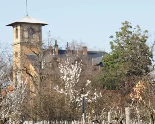 Weinhaus Villa Gießen 1