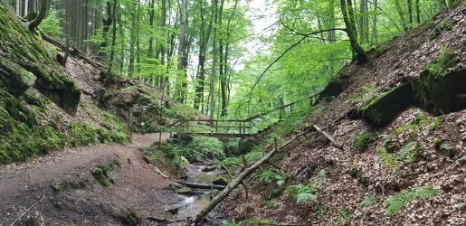 Elendsklamm.
