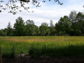Erpolzheimer Bruch, Wiese mit Bäumen (© Urlaubsregion Freinsheim)