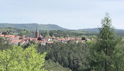 Eschdler Blick - von Esthal