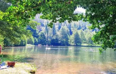 Helmbachweiher unweit von Esthal