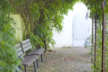 Garten2