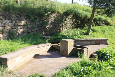 Nebelsbrunnen Esthal