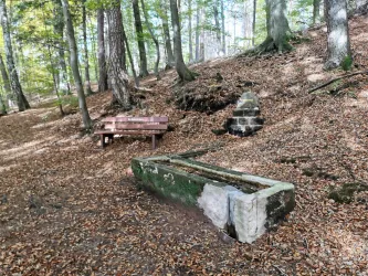 Heidenbrunnen - Esthal / Weidenthal