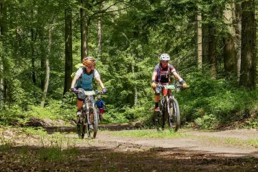 Mountainbike-Touren-Pfälzerwald.de