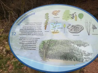 Stauwurzelbiotop - Infotafel 12