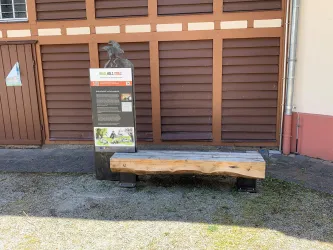 Felsenkönig Infotafel 3 - Alte Samenklenge